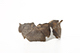 FileNo.191-094.jpg