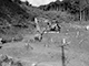 FileNo.192-001.jpg