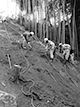 FileNo.192-002.jpg