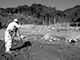 FileNo.192-004.jpg