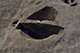 FileNo.192-044.jpg