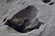 FileNo.192-045.jpg