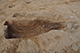 FileNo.192-046.jpg