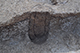 FileNo.192-073.jpg