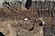 FileNo.192-081.jpg