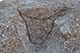 FileNo.192-094.jpg