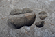 FileNo.192-097.jpg