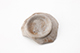 FileNo.192-162.jpg
