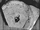 FileNo.192-209.jpg