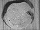 FileNo.192-210.jpg