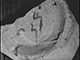 FileNo.192-211.jpg