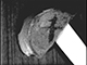 FileNo.192-212.jpg