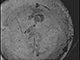 FileNo.192-214.jpg