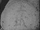 FileNo.192-215.jpg