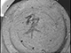 FileNo.192-216.jpg