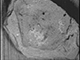 FileNo.192-217.jpg