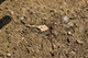 FileNo.193-029.jpg