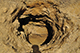 FileNo.193-042.jpg