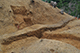 FileNo.193-044.jpg