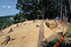FileNo.193-051.jpg