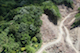 FileNo.193-091.jpg