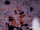 FileNo.194-013.jpg