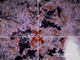 FileNo.194-014.jpg