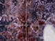 FileNo.194-017.jpg