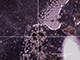 FileNo.194-019.jpg