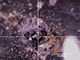 FileNo.194-020.jpg