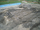 FileNo.194-031.jpg