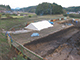 FileNo.194-036.jpg