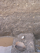 FileNo.194-040.jpg