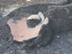 FileNo.194-075.jpg