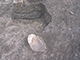 FileNo.194-077.jpg