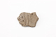 FileNo.194-100.jpg