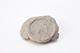 FileNo.194-108.jpg