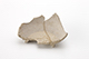 FileNo.194-137.jpg