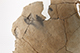 FileNo.194-156.jpg