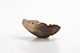 FileNo.194-158.jpg