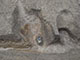 FileNo.195-058.jpg