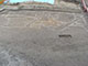 FileNo.195-059.jpg