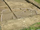 FileNo.195-081.jpg