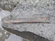 FileNo.195-084.jpg