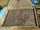 FileNo.195-094.jpg