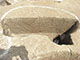 FileNo.195-129.jpg