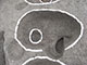 FileNo.195-130.jpg