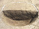 FileNo.195-133.jpg