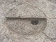 FileNo.195-143.jpg