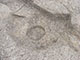 FileNo.195-145.jpg